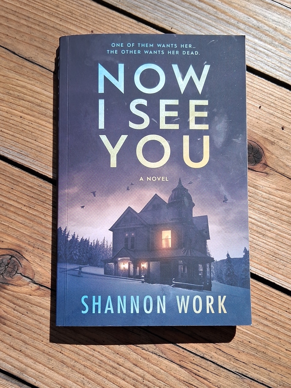 Now I See You Book